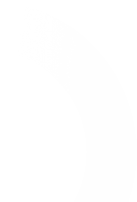 ellipse
